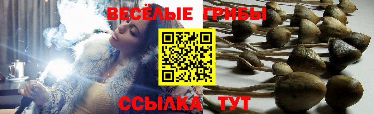 Галлюциногенные грибы Magic Shrooms Бор
